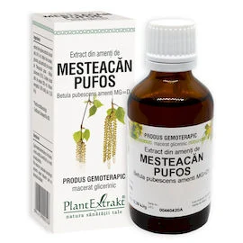 MESTEACĂN PUFOS  - Extract din amenţi de Mesteacăn pufos - Betula pubescens amenti MG=D1