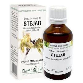 STEJAR - Extract din amenţi de Stejar - Quercus pedunculata amenti MG=D1