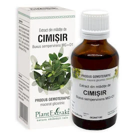CIMIŞIR - Extract din mlădiţe de Cimișir - Buxus sempervirens MG=D1