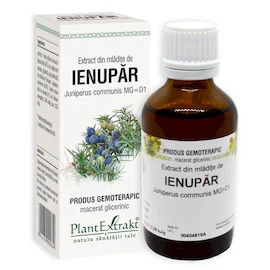 IENUPĂR - Extract din mlădiţe de Ienupăr - Juniperus communis MG=D1