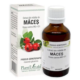 MĂCEŞ  - Extract din mlădiţe de Măceș - Rosa canina