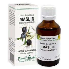 MĂSLIN  - Extract din mlădiţe de Măslin - Olea europaea