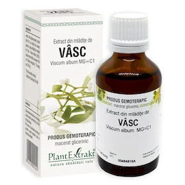 VÂSC - Extract din mlădiţe de Vâsc - Viscum album MG=C1