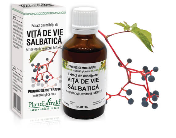VIŢĂ DE VIE SĂLBATICĂ