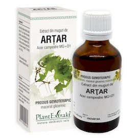ARŢAR - Extract din muguri de Arțar - Acer campestre MG=D1