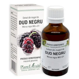 DUD NEGRU - Extract din muguri de Dud negru - Morus nigra MG=D1