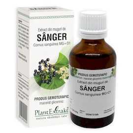 SÂNGER  - Extract din muguri de Sânger - Cornus sanguinea MG=D1