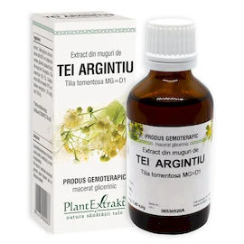 TEI ARGINTIU - Extract din muguri de Tei argintiu - Tilia tomentosa