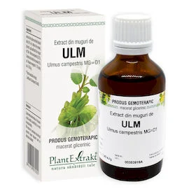 ULM - Extract din muguri de Ulm - Ulmus campestris MG=D1