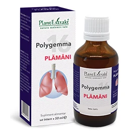 Polygemma 16 - Plămâni
