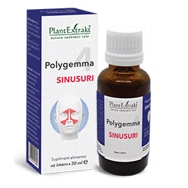 Polygemma 4 - Sinusuri