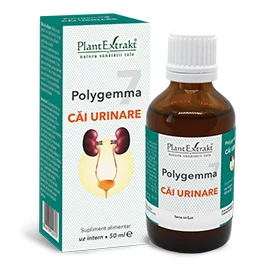 Polygemma 7 - Căi Urinare
