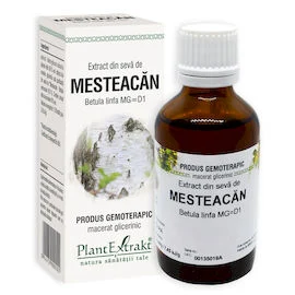MESTEACĂN - Extract din sevă de Mesteacăn - Betula linfa MG=D1