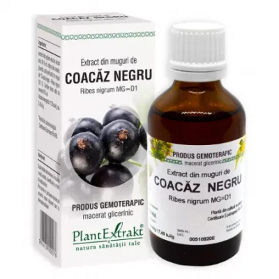 Extract din muguri de Coacaz Negru, 50 ml, Plant Extrakt